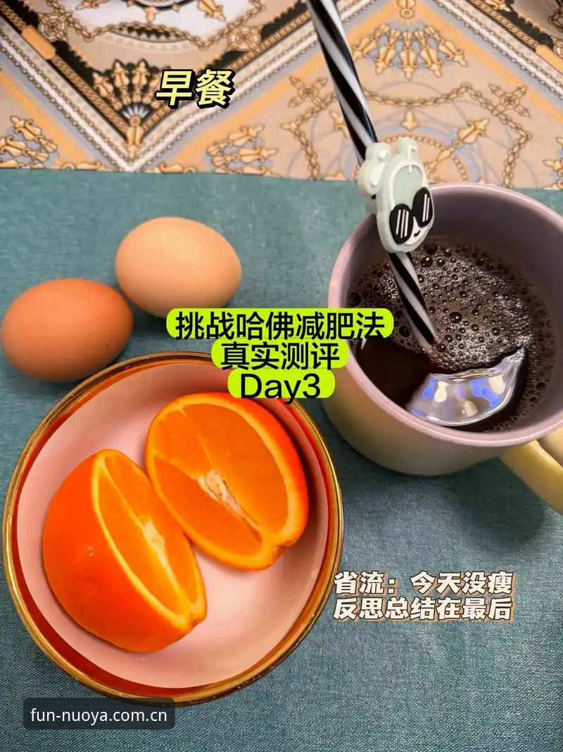 揭秘诺亚体育互动：一个老用户的真实测评与操作指南